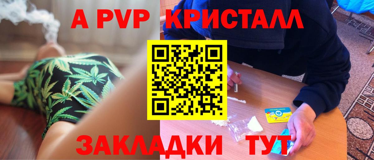 Alfa_PVP СК Кострома