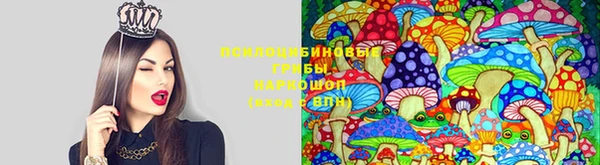 прущая мука Кинешма