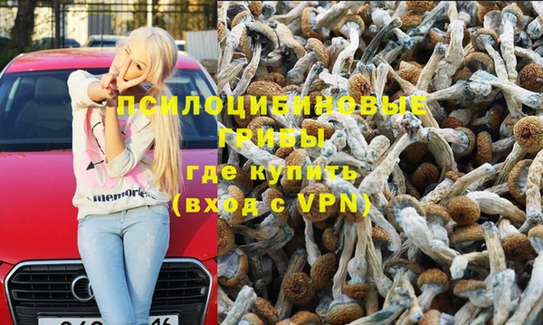 прущая мука Кинешма