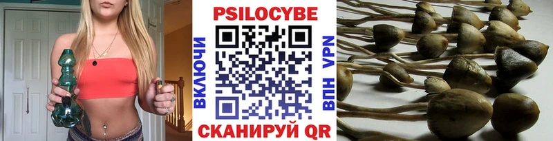 Псилоцибиновые грибы мухоморы Кострома